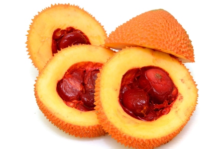 food-16