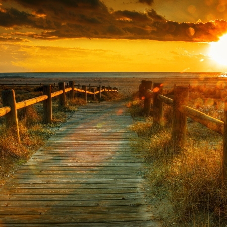 landscapes-06