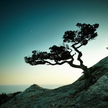 landscapes-08