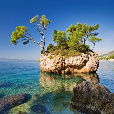 landscapes-12