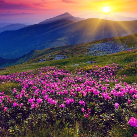 landscapes-15